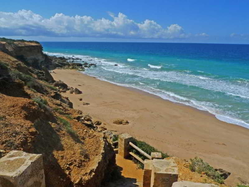 El Celemin De Conil Bed and Breakfast Conil De La Frontera Exteriör bild