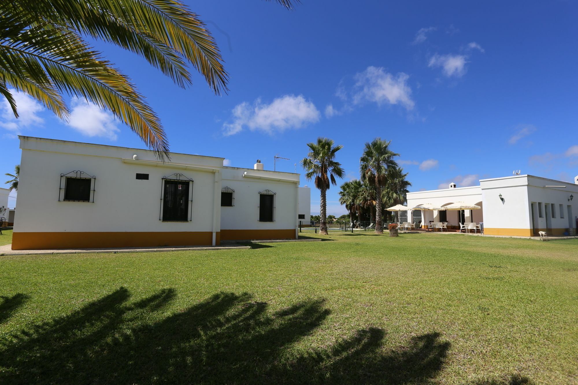 El Celemin De Conil Bed and Breakfast Conil De La Frontera Exteriör bild